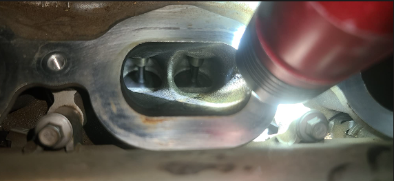 Image #1 from Koua yang