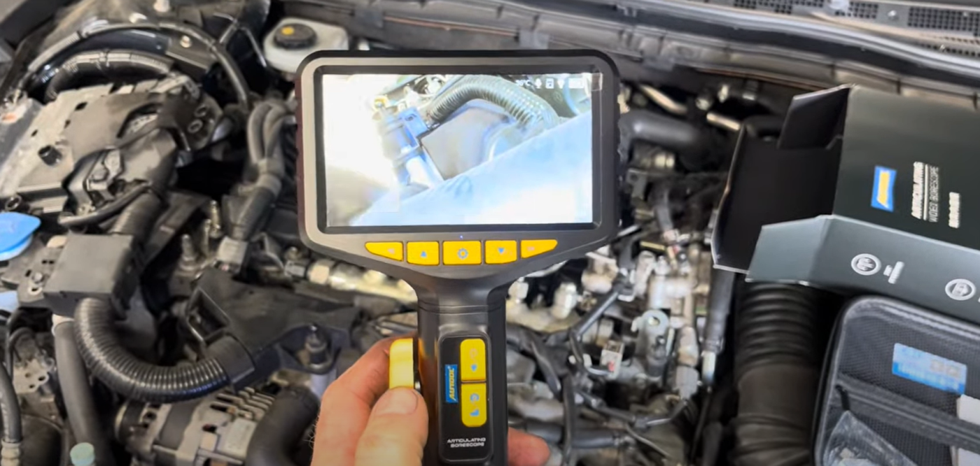 Image #1 from Paddy Bert