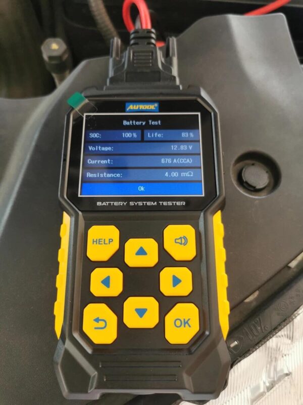 Image #1 from Chapman Newton