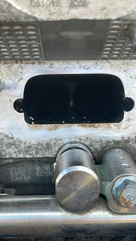 Image #2 from Baron Wild