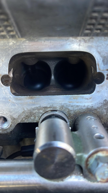 Image #1 from Baron Wild