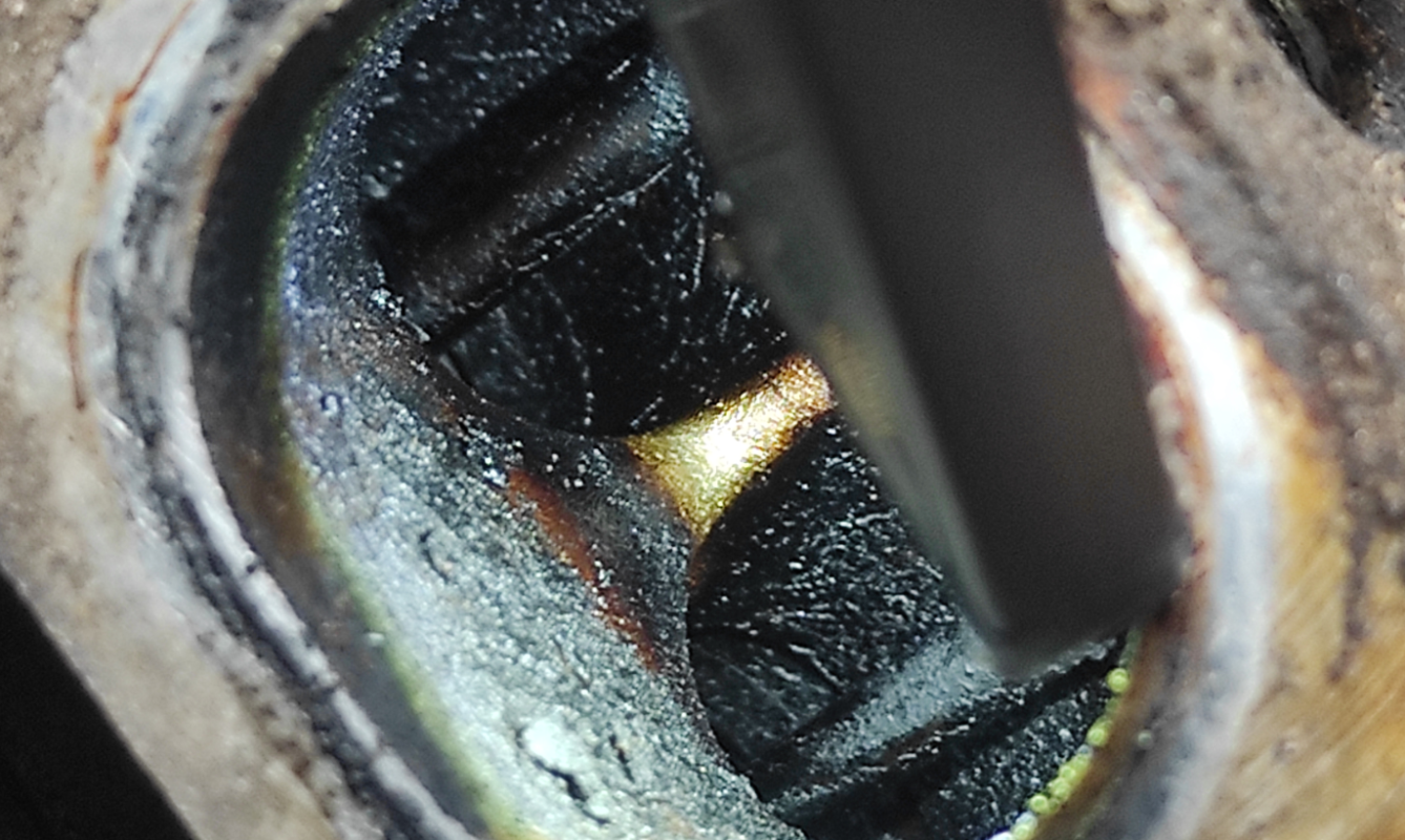 Image #1 from Saxon Herty