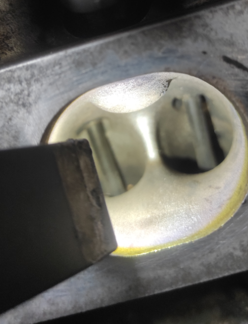 Image #2 from Saxon Herty