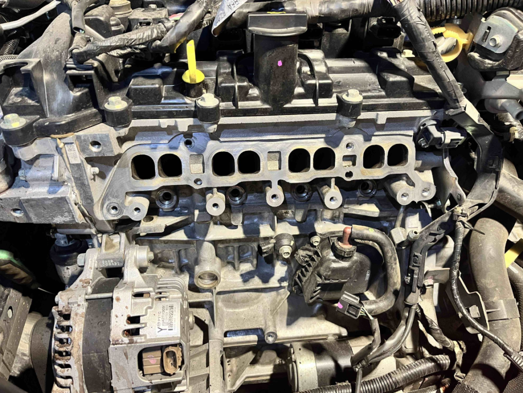 Image #2 from Daniel Boiangiu