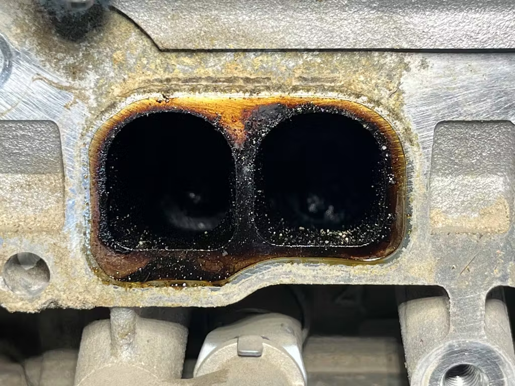 Image #2 from Sarah Klassen