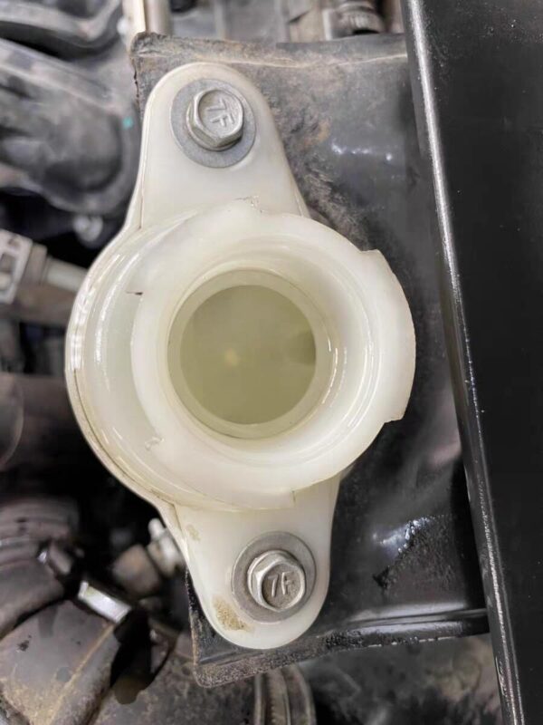 Image #2 from Roberto