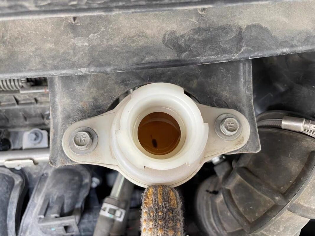 Image #3 from Roberto